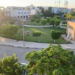 1 bedroom house for rent in zayed