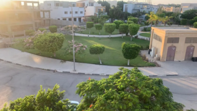 1 bedroom house for rent in zayed