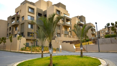 Palm Hills Village Avenue