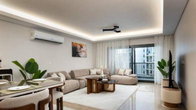 Fully Furnished apartment in ZED West