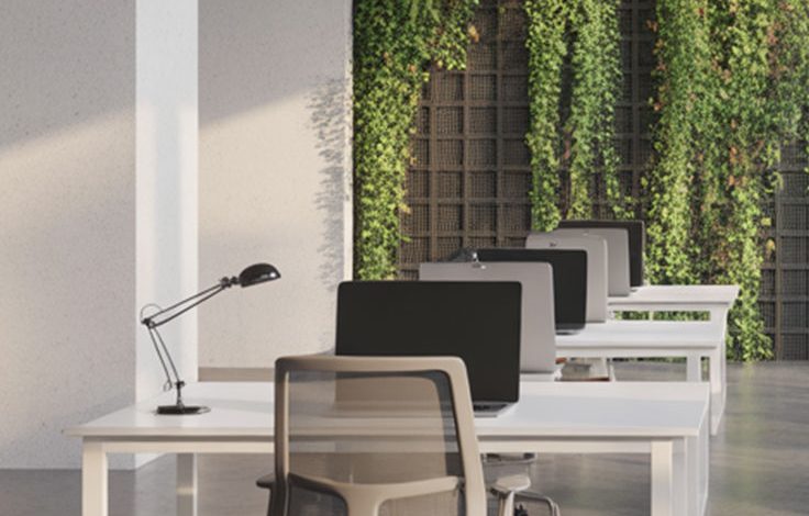 Furnished Office for Rent in Madinaty Egypt