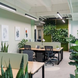 furnished office for rent in 5th Settlement Egypt