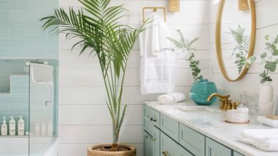 Villa for Rent in North Coast Egypt