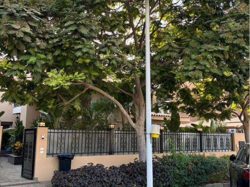 Villa Hyde Park - Living Room