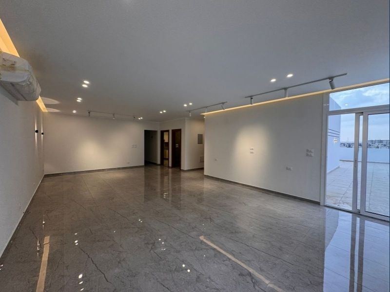 Architectural Masterpiece Penthouse for Sale in Hyde Park