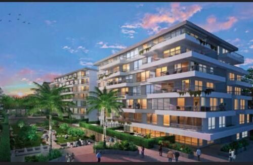 New Capital Investment Guide