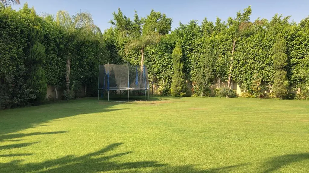 Villa with a 700 m² Garden — Dyar Mokhabarat – photo 7 of 10