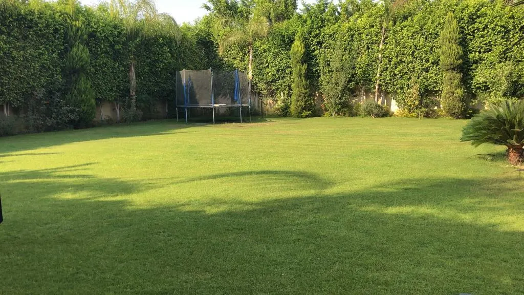 Villa with a 700 m² Garden — Dyar Mokhabarat – photo 6 of 10